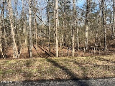 Watts Bar Lake Lot For Sale in Rockwood Tennessee