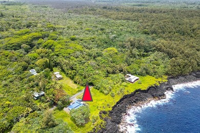 Incredible Value on a Slice of *Old Hawaii* - 1.86 Acres in the - photo 1