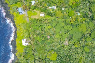 Incredible Value on a Slice of *Old Hawaii* - 1.86 Acres in the - photo 3