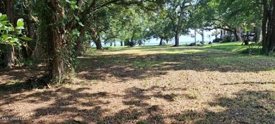 WATERVIEW on BEACH BLVD. 2 beautiful lots being sold together - photo 3