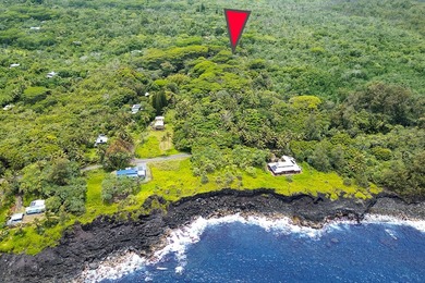 Incredible Value on a Slice of *Old Hawaii* - 1.86 Acres in the - photo 4
