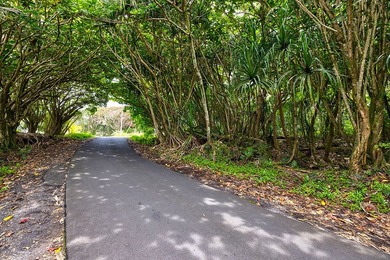Incredible Value on a Slice of *Old Hawaii* - 1.86 Acres in the - photo 6