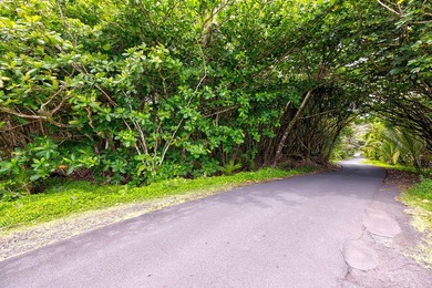 Incredible Value on a Slice of *Old Hawaii* - 1.86 Acres in the - photo 7