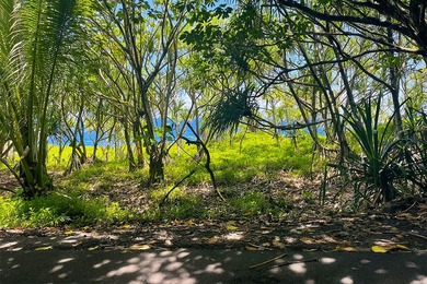 Incredible Value on a Slice of *Old Hawaii* - 1.86 Acres in the - photo 9