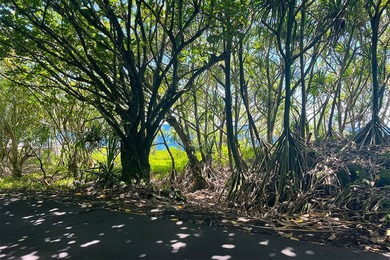 Incredible Value on a Slice of *Old Hawaii* - 1.86 Acres in the - photo 10