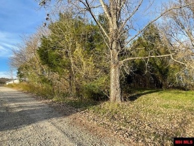 White River - Marion County  Lot For Sale in Cotter Arkansas