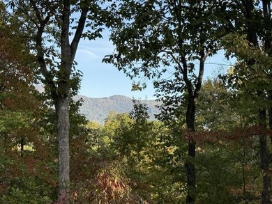 Welcome to the Lake Lanier community, ideally situated between - photo 2