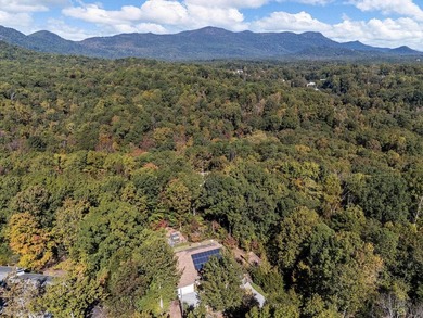 Welcome to the Lake Lanier community, ideally situated between - photo 4