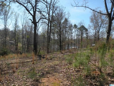 BEAUTIFUL LOT IN LAKE JOY SUBDIVISION! Property has a concrete - photo 1