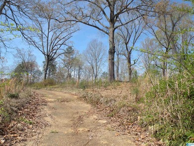 BEAUTIFUL LOT IN LAKE JOY SUBDIVISION! Property has a concrete - photo 2
