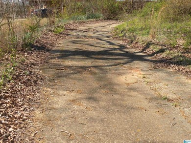 BEAUTIFUL LOT IN LAKE JOY SUBDIVISION! Property has a concrete - photo 3