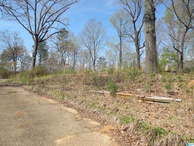 BEAUTIFUL LOT IN LAKE JOY SUBDIVISION! Property has a concrete - photo 4