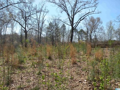BEAUTIFUL LOT IN LAKE JOY SUBDIVISION! Property has a concrete - photo 5