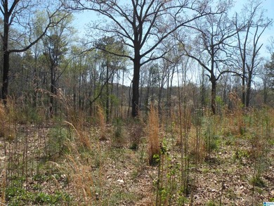 BEAUTIFUL LOT IN LAKE JOY SUBDIVISION! Property has a concrete - photo 6