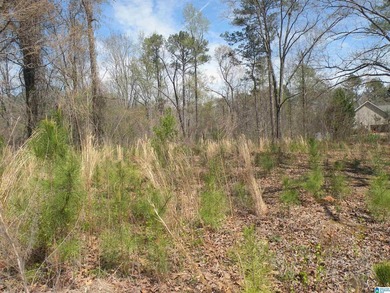 BEAUTIFUL LOT IN LAKE JOY SUBDIVISION! Property has a concrete - photo 8