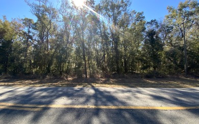Suwannee River Lot For Sale in Obrien Florida