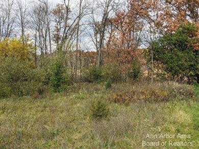 Grass Lake - Livingston County Lot For Sale in Howell Michigan