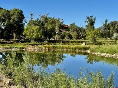 Mark Vansidener, Hayden Outdoors LLC, C:,,: One of the most - photo 4