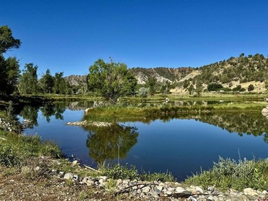 Mark Vansidener, Hayden Outdoors LLC, C:,,: One of the most - photo 5