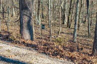 Surrounded by mature trees and natural Ozarks beauty, this - photo 13