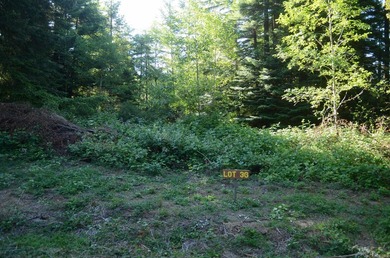 Beautiful lot w/secluded privacy with Del Norte Golf Course - photo 1