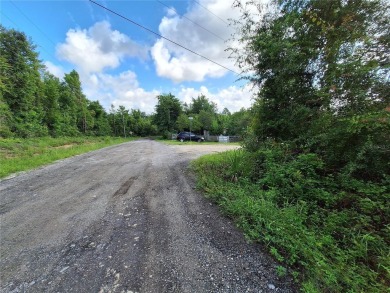 Includes access to Lake Kerr. 4 adjoining lots for a total of - photo 21