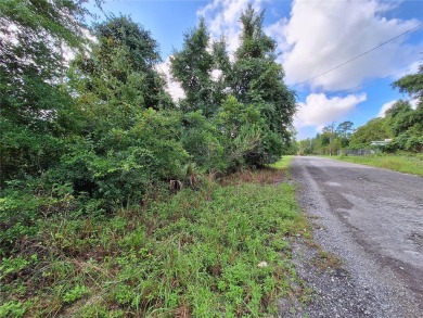 Includes access to Lake Kerr. 4 adjoining lots for a total of - photo 22