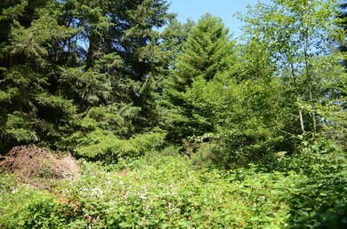 Beautiful lot w/secluded privacy with Del Norte Golf Course - photo 4