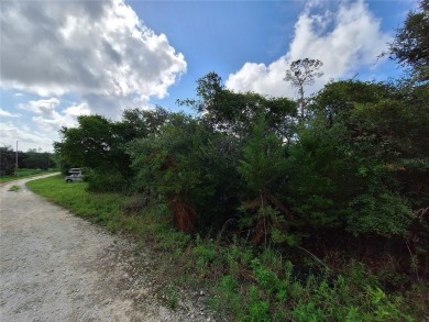 Includes access to Lake Kerr. 4 adjoining lots for a total of - photo 24