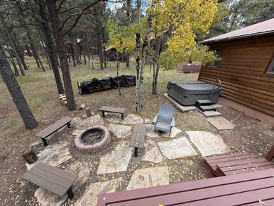 Beautiful getaway in Angel Fire only 1.7 mi from the ski base - photo 26