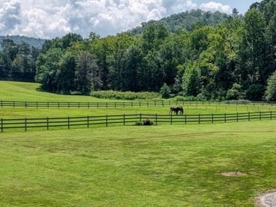 Breathtaking Tusquittee Valley Views | Luxurious Mountain - photo 8