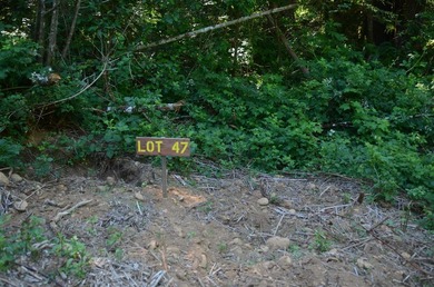 Rare and beautiful subdivision lot w/secluded privacy and Del - photo 1