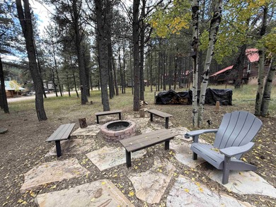 Beautiful getaway in Angel Fire only 1.7 mi from the ski base - photo 45