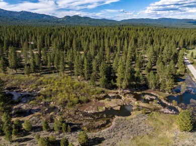 (private lake, pond, creek) Acreage For Sale in Placerville Idaho