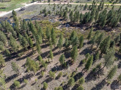 (private lake, pond, creek) Acreage For Sale in Placerville Idaho