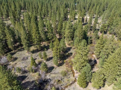(private lake, pond, creek) Acreage For Sale in Placerville Idaho