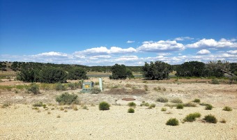 (private lake) Lot For Sale in Concho Arizona