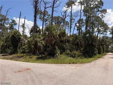 Port Charlotte Waterway Area Lot For Sale in Port Charlotte Florida