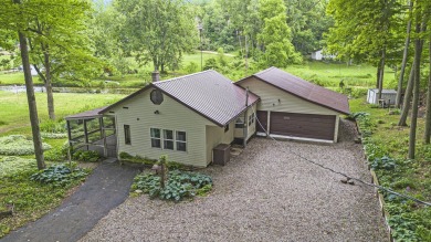 Lake Home For Sale in Six Lakes, Michigan