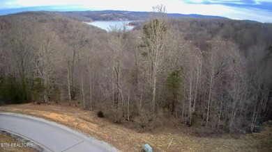 LAKE VIEWS from you lake house. Clearwater Cove is a beautiful - photo 2