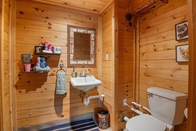 Welcome to 30 Lakewood Drive on Balch Lake, a year-round - photo 26