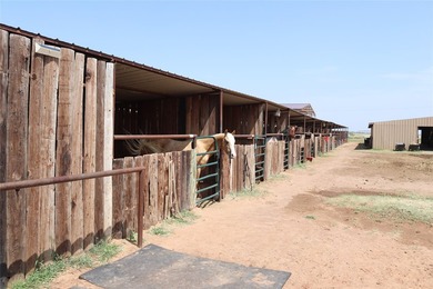 Turn-key Equine training facility. Currently used as a cutting - photo 30