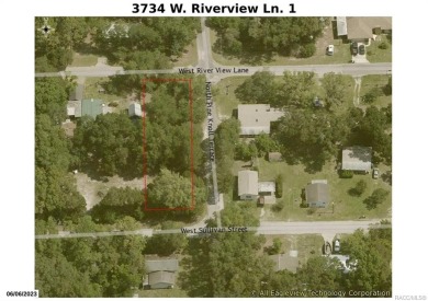 Lake Lot For Sale in Dunnellon, Florida
