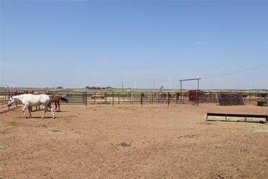 Turn-key Equine training facility. Currently used as a cutting - photo 35