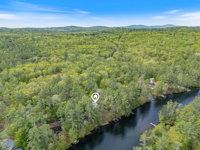 Welcome to 30 Lakewood Drive on Balch Lake, a year-round - photo 38