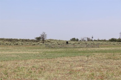 Turn-key Equine training facility. Currently used as a cutting - photo 40