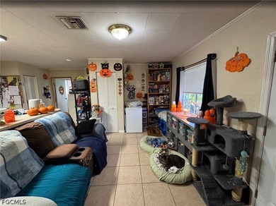 Excellent investment opportunity in North Fort Myers! This - photo 5