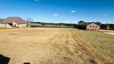 Don't miss out on one of the last waterfront lots in Stallion - photo 3