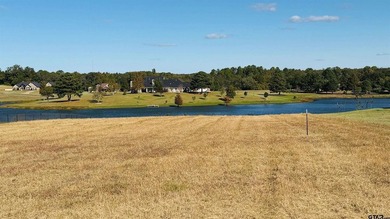 Don't miss out on one of the last waterfront lots in Stallion - photo 4