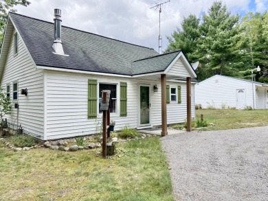 Lake Home For Sale in Johannesburg, Michigan